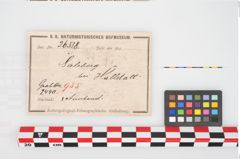 Etikett zu Bronzebuckelarmreif (NHMW-PRAE-026518)